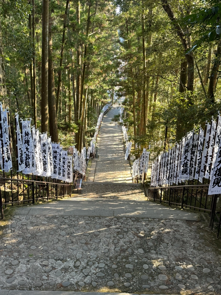 Golden-green pine trees & hundreds of white banners flank a long cobblestone path draped in dappled sunlight.