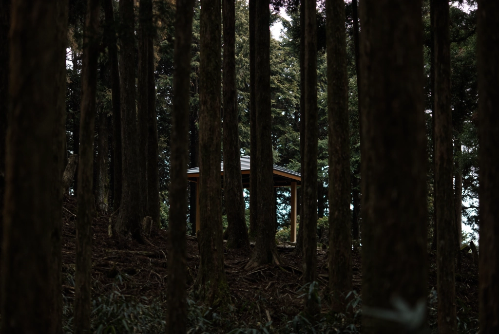 Through a moderately dense thicket of trees, a clearing containing a single small pavilion can be seen.