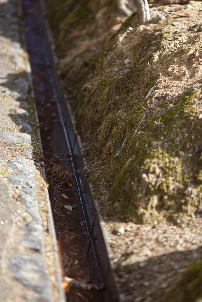 The microscopic details of dirt & moss surrounding a small gutter with just barely a trickle in it are magnified & illuminated by soft sunlight.