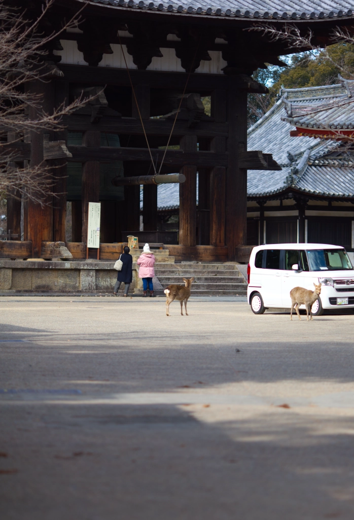 Two women read a sign outside a large bell inside a paviliion complete with a suspended wooden ringer. Two deer mingle outside in the courtyard, next to a small white car they presumably drove here in.