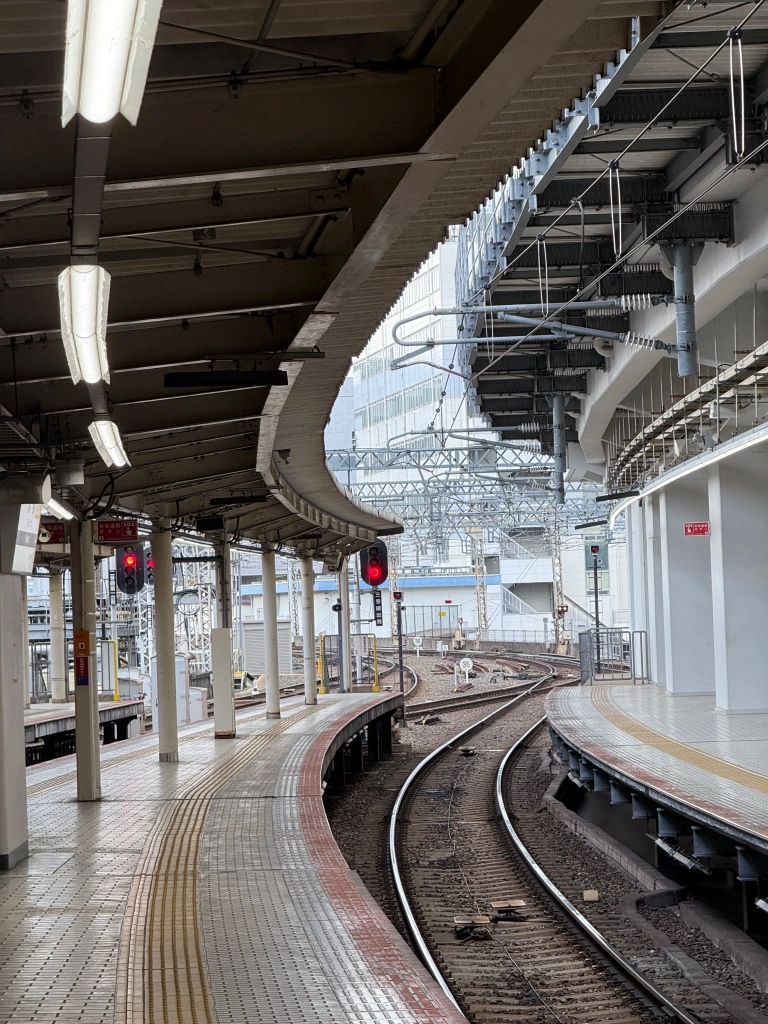 Multiple sets of train tracks snake dizzily out into a thicket of wires & girders. Yellow safety bumps & overhead flourescent lighting follow them until the platform ends. Bright splotches of red provided by emergency signs and train signals are scattered throughout the scene.