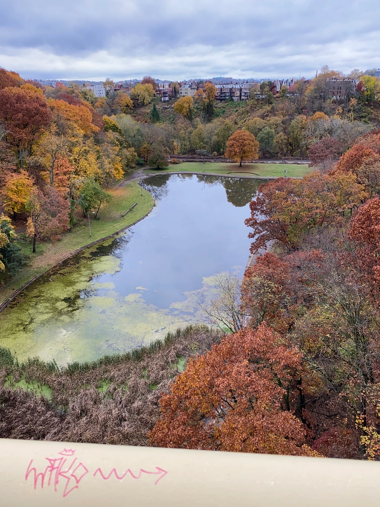 A man-made pond is surrounded by fall trees, as viewed from a bridge going over it. Overcast lighting makes the scene look dull and a little blue.