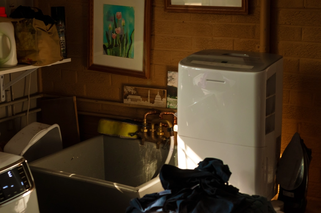 A dehumidifier sits next to a washbin in the laundry room. Detergent and a washing machine are visible cropped off near the edges, and some crooked paintings line the walls. Overall, though, the atmosphere is comfortably warm from some light through the window.