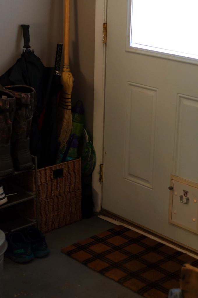 An umbrella bin and shoe rack and welcome mat and cat door, all around the corner of where a door outside meets the wall inside. Outside is not visible thanks to overexposure.