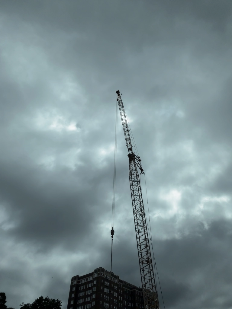 Crane in front of a gray sky